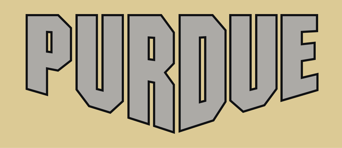 Purdue Boilermakers 2012-Pres Wordmark Logo v5 iron on transfers for fabric